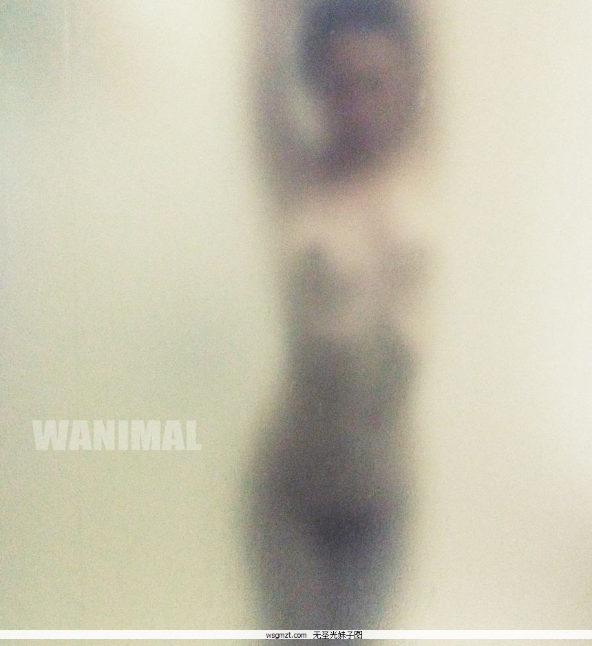 WANIMALƷʥͼ[107P]ȫ